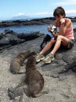 Sue with friendly sealions