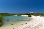 Image: Finch Bay - Santa Cruz (Indefatigable), Galapagos