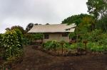 Image: Scalesia Lodge - Isabela (Albermarle), Galapagos