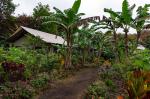 Image: Scalesia Lodge - Isabela (Albermarle), Galapagos