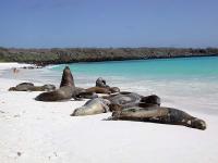 Peru and the Galapagos itinerary thumbnail
