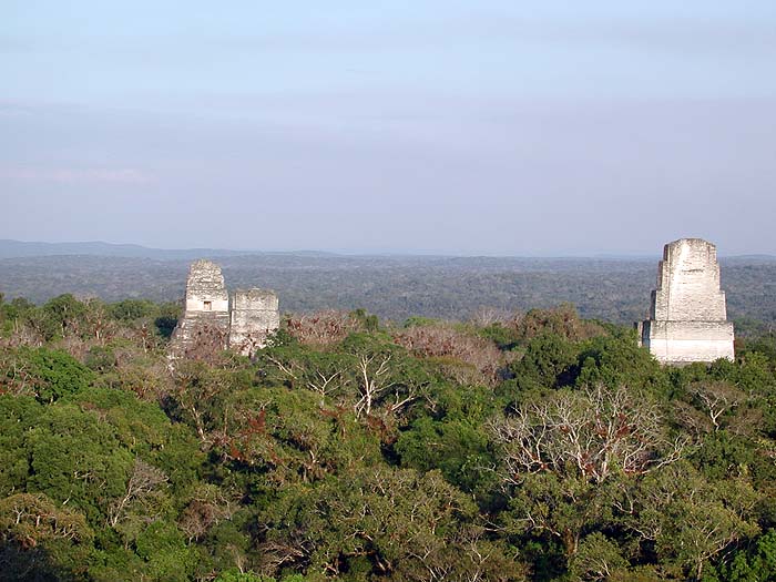 GU0402EP1257_Tikal.jpg [© Last Frontiers Ltd]