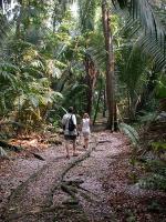 Image: Chiminos Lodge - Petn and the North, Guatemala