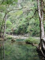 Image: Semuc Champey - The Central region