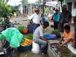 Image: As Green as it Gets - Antigua and Guatemala City