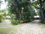 Image: Jungle Lodge - Petn and the North, Guatemala