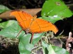 Image: Chiminos Lodge - Petn and the North, Guatemala