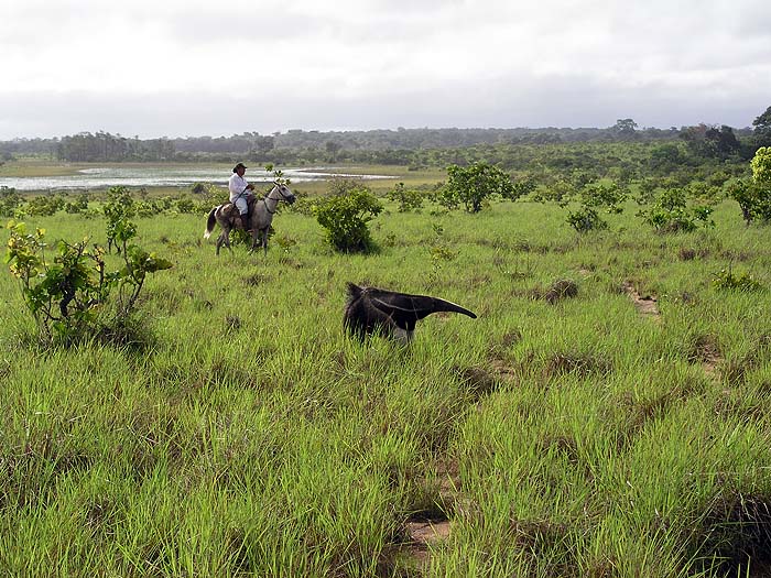 GY0504EP127_karanambu.jpg [© Last Frontiers Ltd]