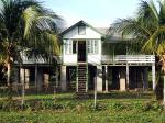 Image: Dadanawa - The Rupununi savannas, Guianas