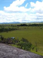 Image: Dadanawa - The Rupununi savannas, Guianas