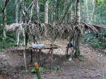 Image: Maipaima - The Rupununi savannas, Guianas