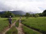 Image: Surama - The Central forest zone, Guianas