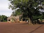 Image: Karanambu - The Rupununi savannas, Guianas