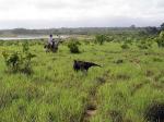 Image: Karanambu - The Rupununi savannas, Guianas