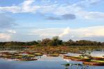 Image: Karanambu - The Rupununi savannas, Guianas