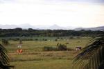 Image: Dadanawa - The Rupununi savannas