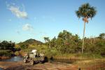 Image: Dadanawa - The Rupununi savannas, Guianas