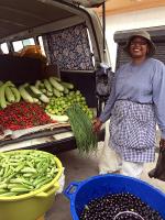 Image: Stabroek market - Kaieteur and the northern forests