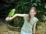 Copn Bird Park - Copn and the West, Honduras