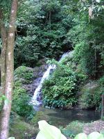 Image: Las Cascadas - La Ceiba and Pico Bonito