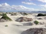 Image: Isla Magdalena - Baja California