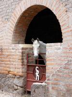 Hacienda Sepulveda - The Pacific coast, Mexico