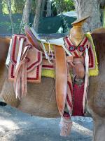 Image: Hotelito Desconocido - The Pacific coast