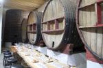 Image: Casa Madero winery - The North-east