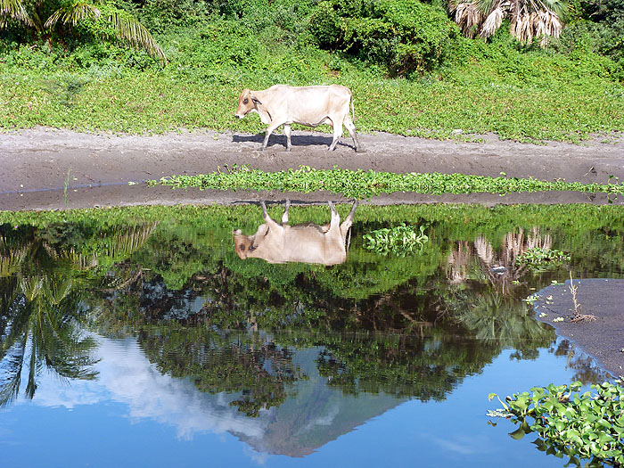 NI0913SM0974_ometepe.jpg [© Last Frontiers Ltd]