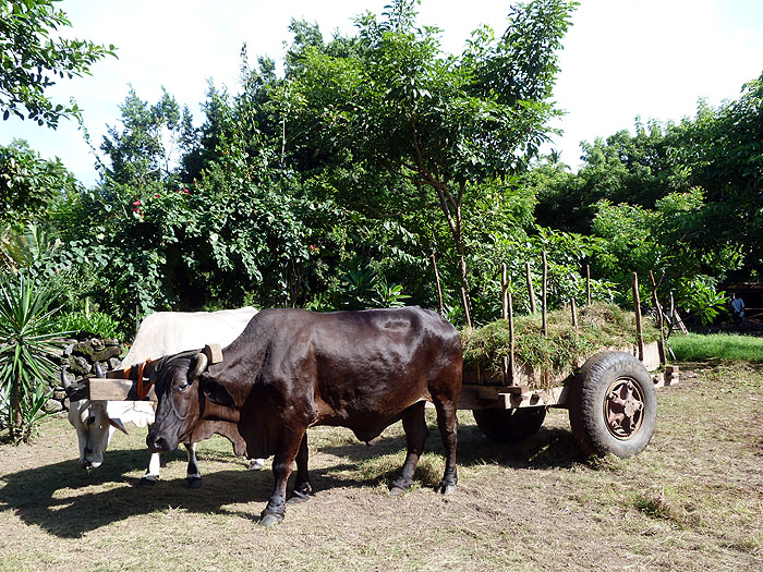 NI0913SM0981_finca-san-juan-de-la-isla.jpg [© Last Frontiers Ltd]