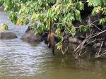 Image: Las Isletas - Granada and Ometepe