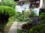 Image: La Gran Francia - Granada and Ometepe, Nicaragua