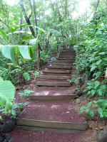 Image: Aqua Wellness Resort - Southern coasts, Nicaragua