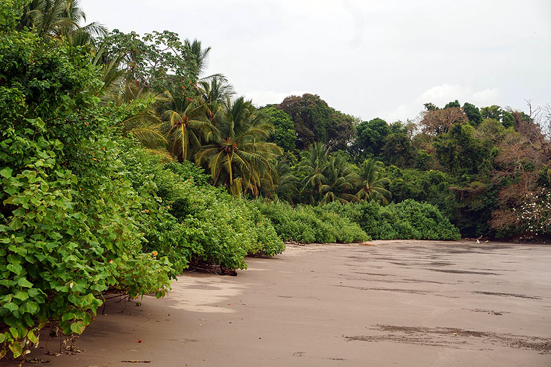 PA0418HG0442_isla-palenque.jpg [© Last Frontiers Ltd]