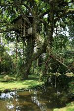 Image: Canopy Lodge - El Valle