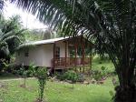 Image: Tranquilo Bay - Bocas del Toro, Panama