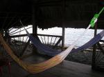 Image: Dolphin Lodge - San Blas and the South-east, Panama