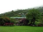 Image: Finca Lerida - Chiriqu Highlands, Panama