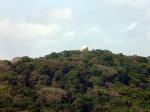 Image: Canopy Tower - Canal Zone, Panama