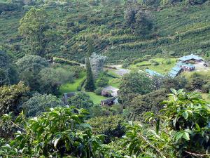 Chiriquí Highlands image