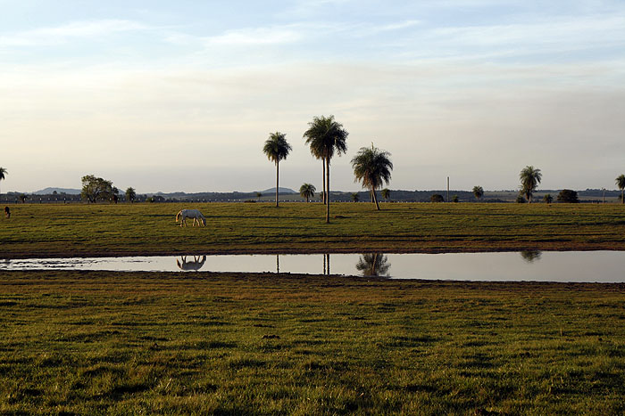 PY0511EM119_estancia-tacuaty.jpg [© Last Frontiers Ltd]