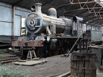 Steam train graveyard