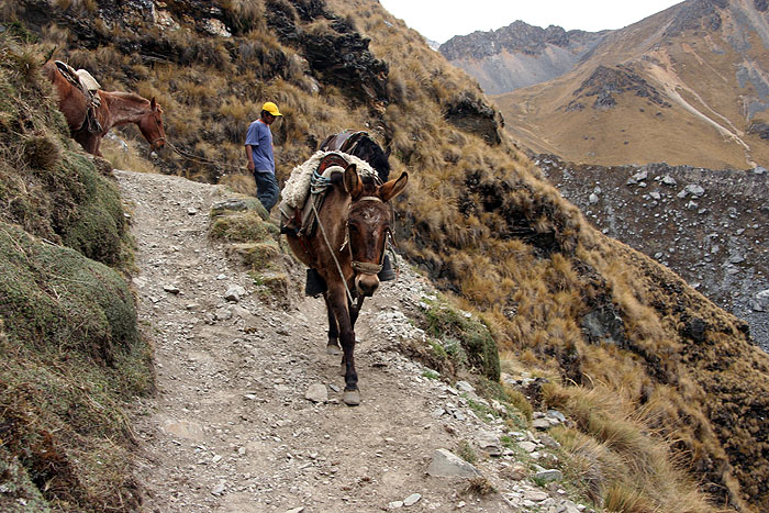 PE0907EP720_mlp_day3_trek.jpg [© Last Frontiers Ltd]