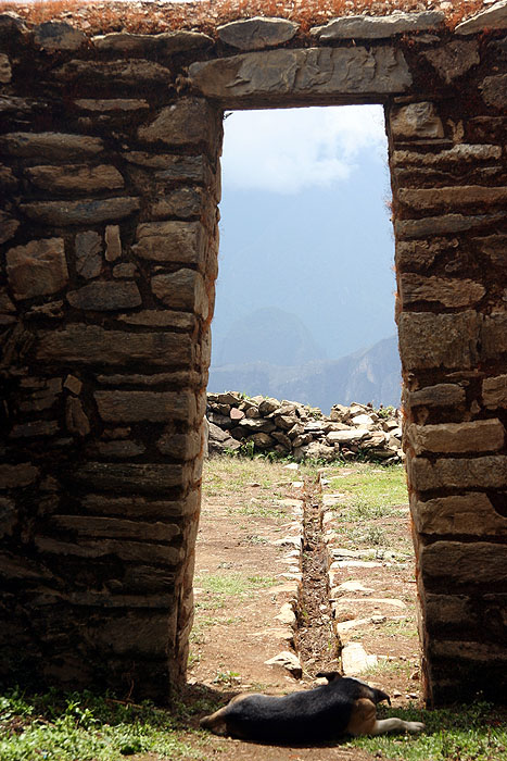 PE0907EP875_mlp_day6_llactapata.jpg [© Last Frontiers Ltd]