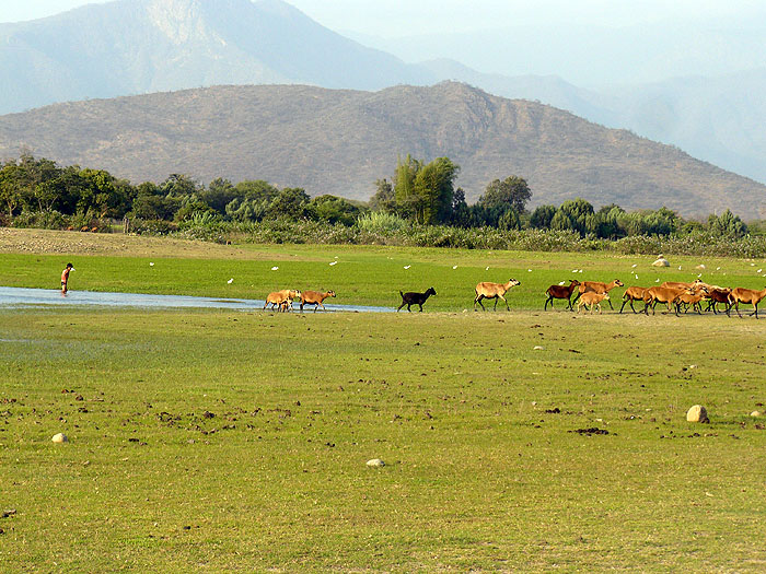 PE1211RB275_bird-watching-near-chaparri.jpg [© Last Frontiers Ltd]