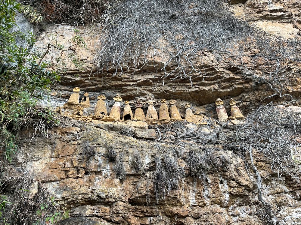 article main list image