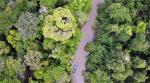 Image: Aqua Nera - Iquitos, Peru