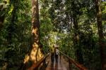 Image: Tambopata Research Centre - Tambopata and Manu