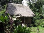 Image: Manu Wildlife Centre - Tambopata and Manu, Peru