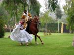Paso horse and dancer